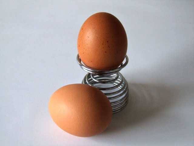Yumurta Diyetinin Dezavantajları