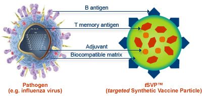 DNA moleküllerine dayalı karmaşık bir sentetik aşı oluşturuldu
