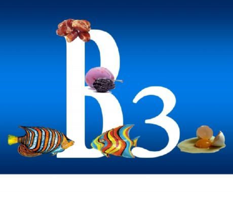 B3 vitamini stafilokok