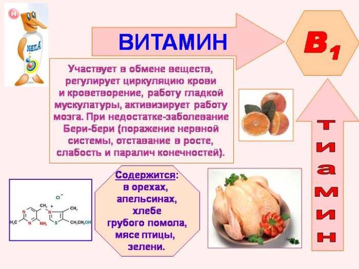 B1 vitamininin özellikleri